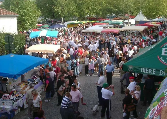 T3 Pays Du Piment D'espelette Суред